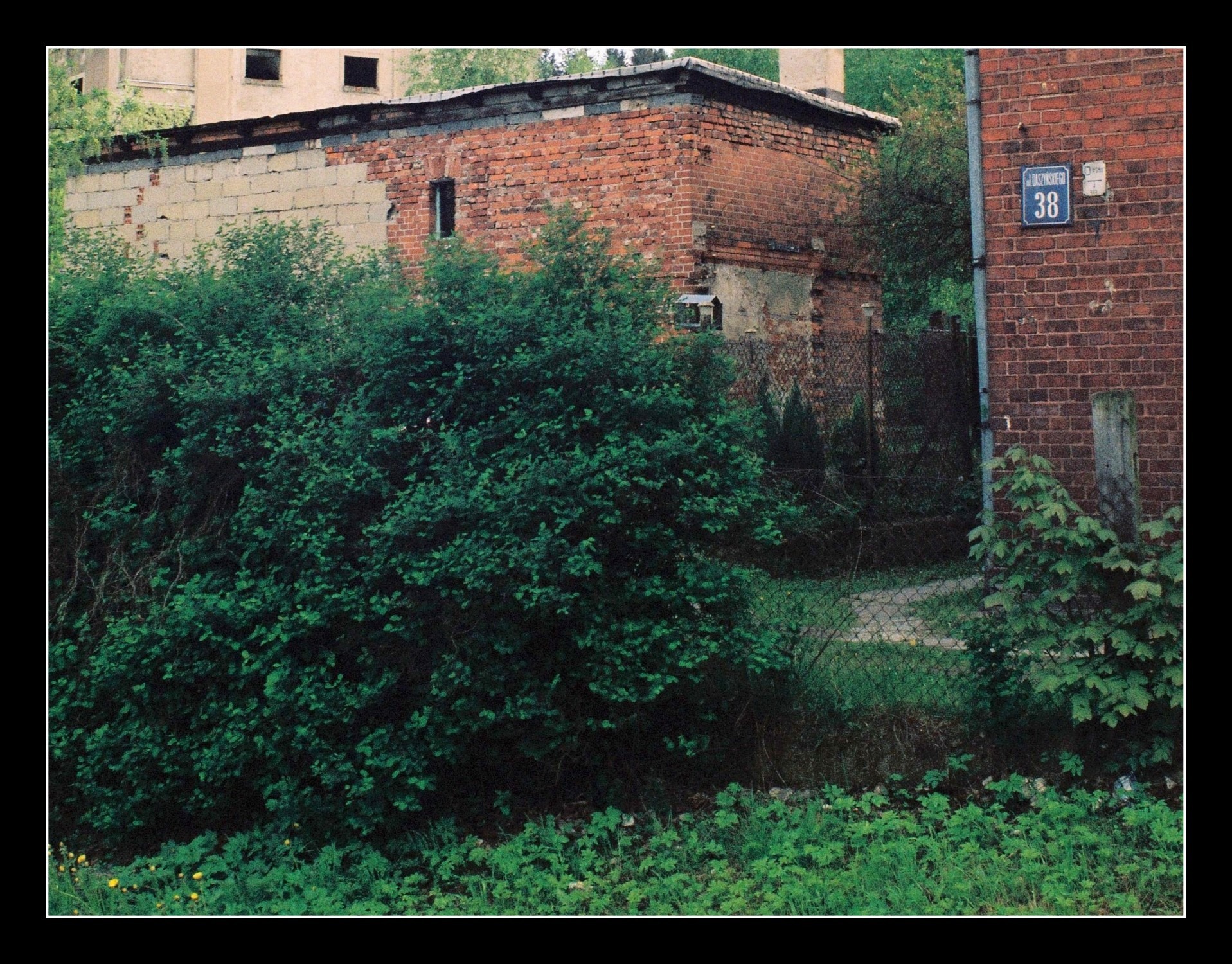 image0020