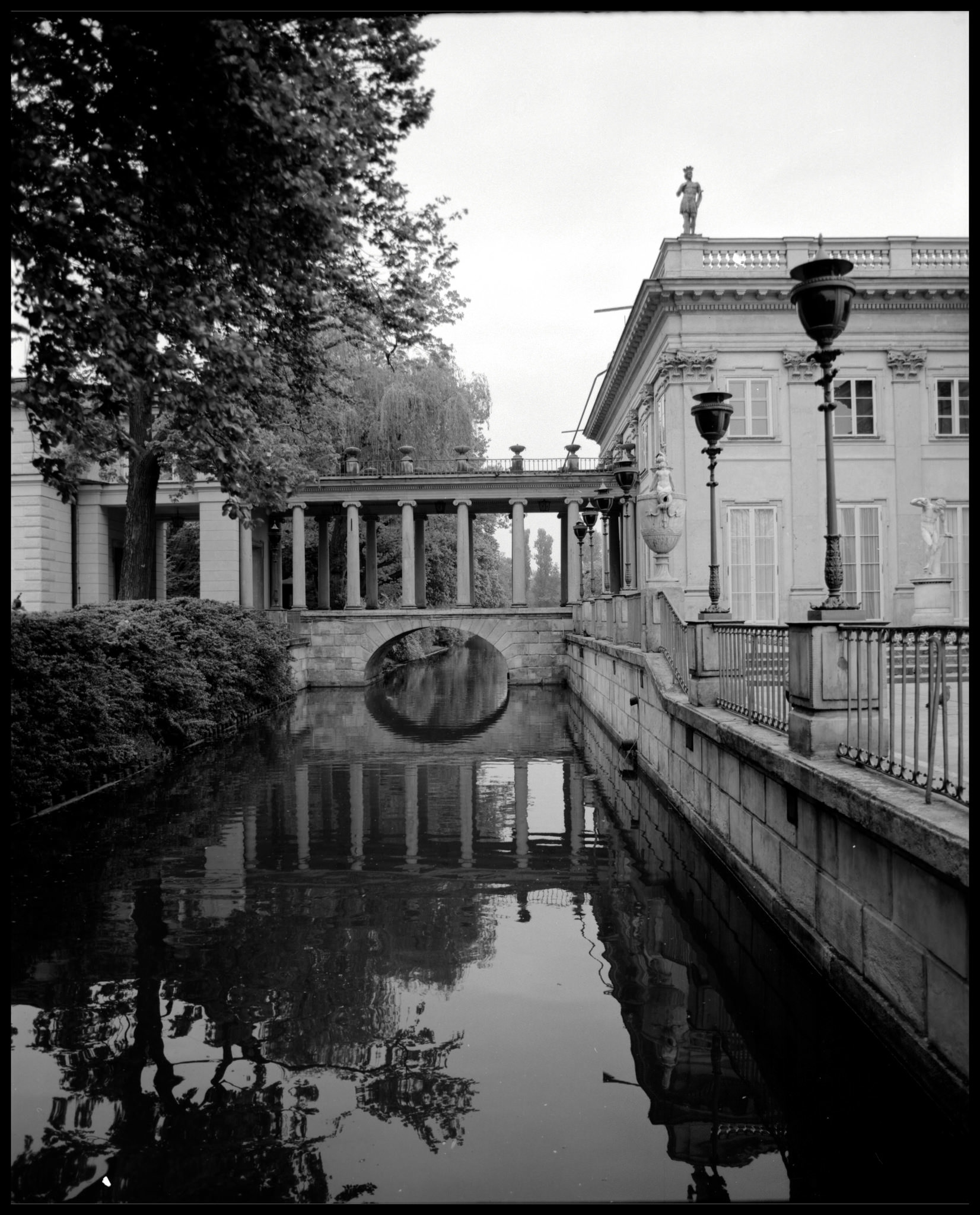 Acros 100