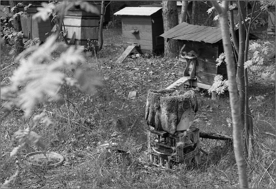 a cóż to, a cóż to