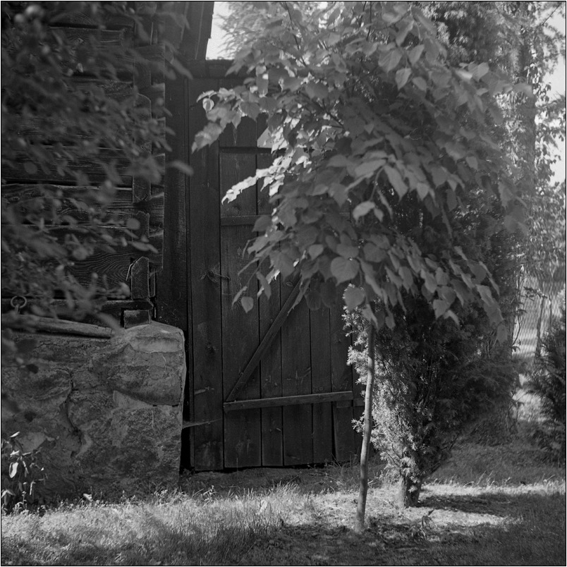 opcja alternatywna...