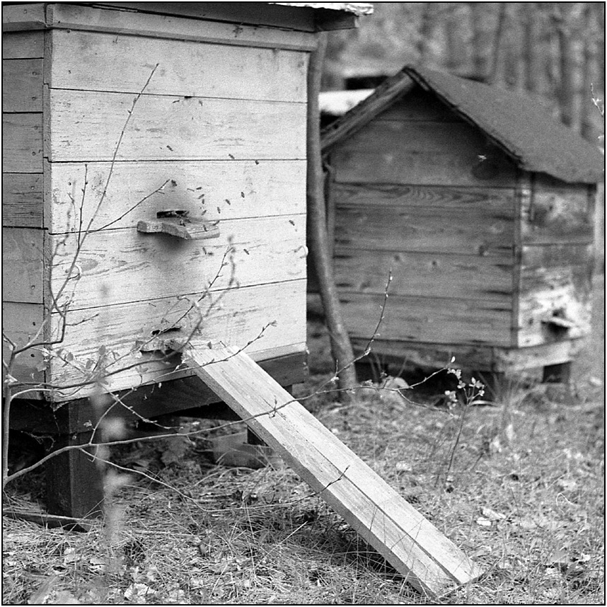 *** * ** **** * * *** ** *