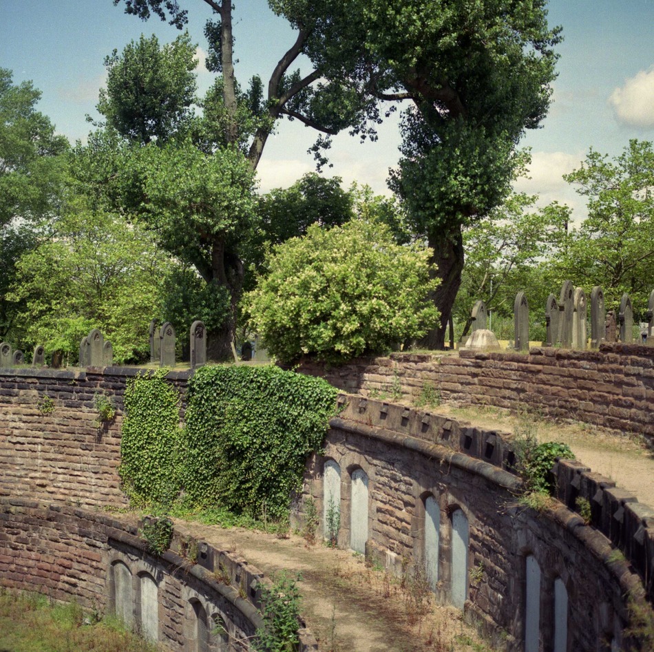 Stary cmantarz w Birmingham