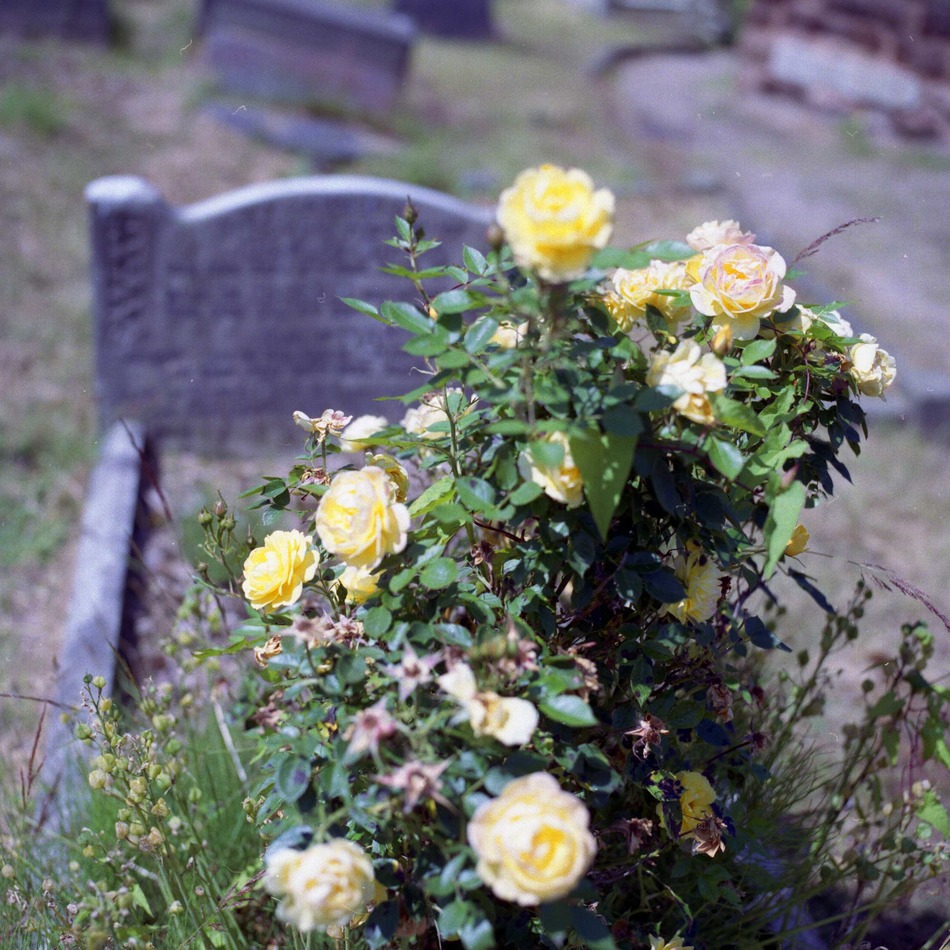 Cmentarz w Birmingham