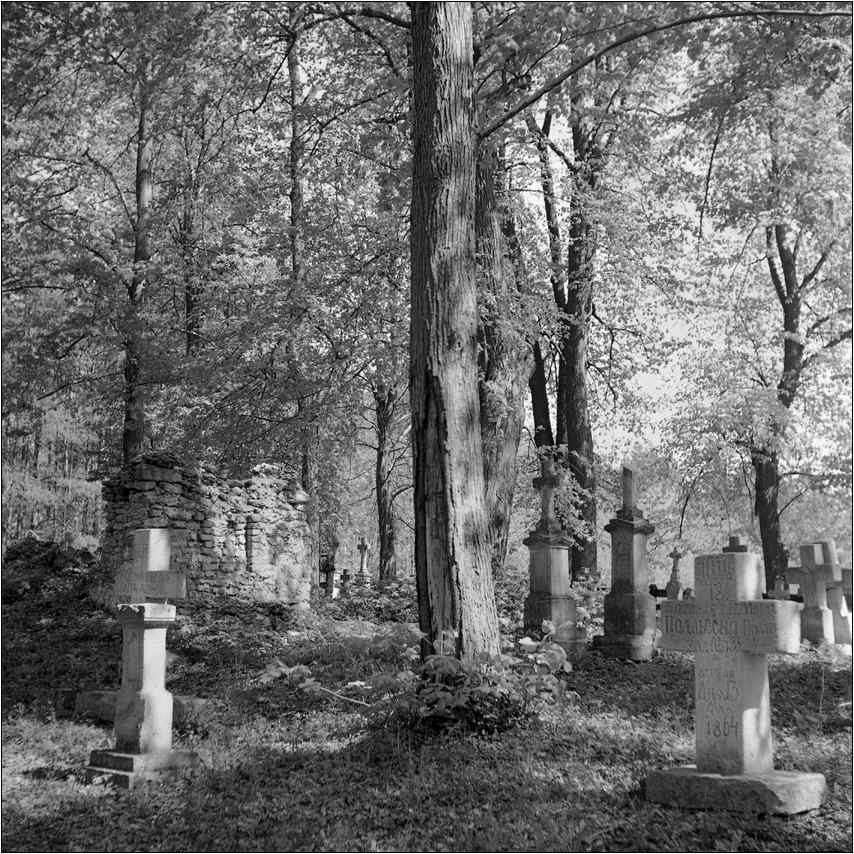 pozostając w dość sztywnej konwencji