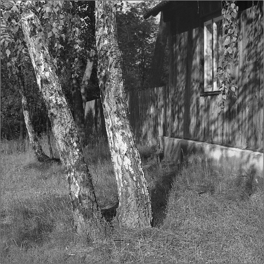 a u Heni święty spokój