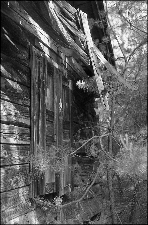 jeszcześmy niecali pozarastali