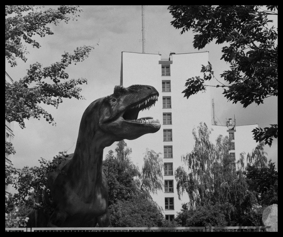 Allosaurus Banachowicus