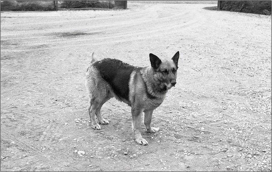siedemdziesiąt kilo