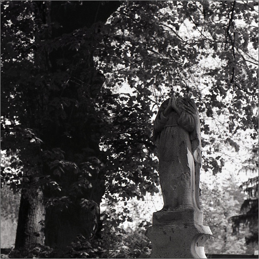 nic mi do głowy nie przychodzi