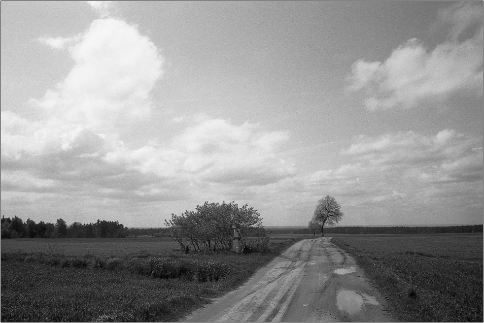 noooooooo Czmielek...