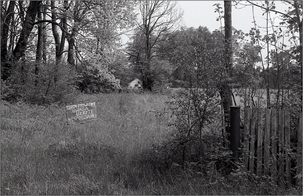 wszystko na ten temat