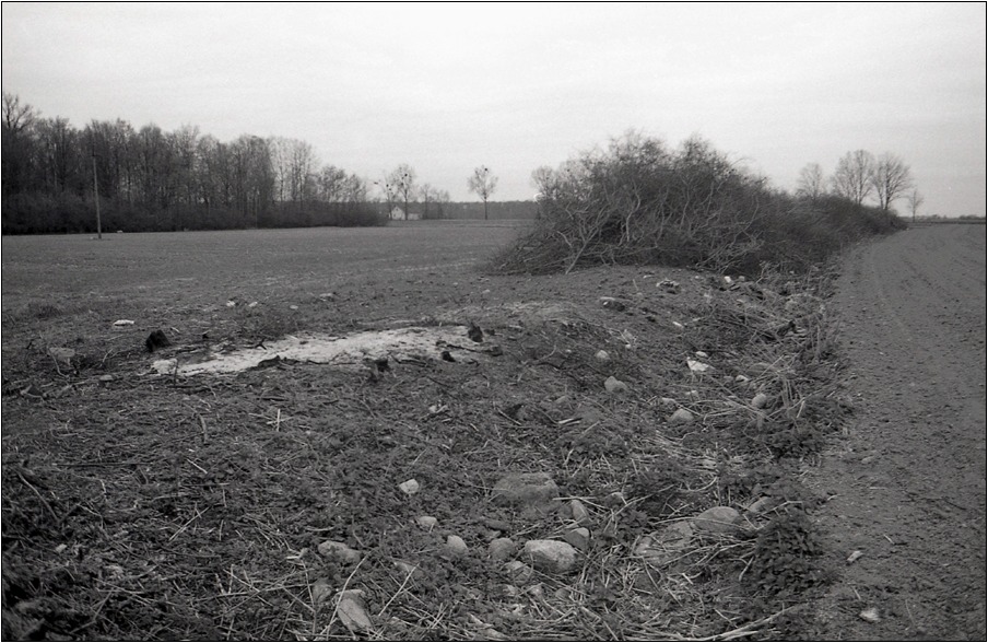 mazowiecka marność