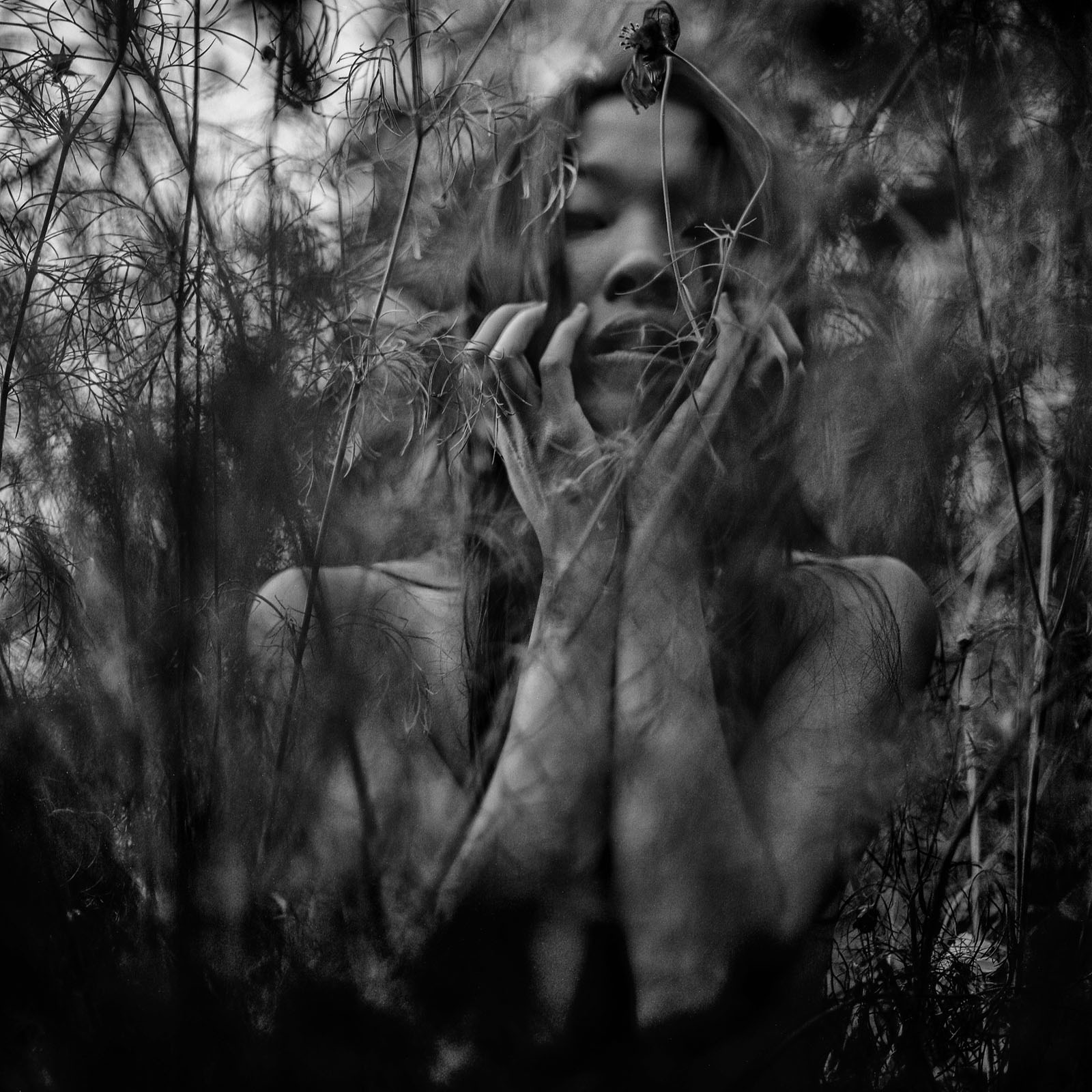 Thuy Duong Zuo