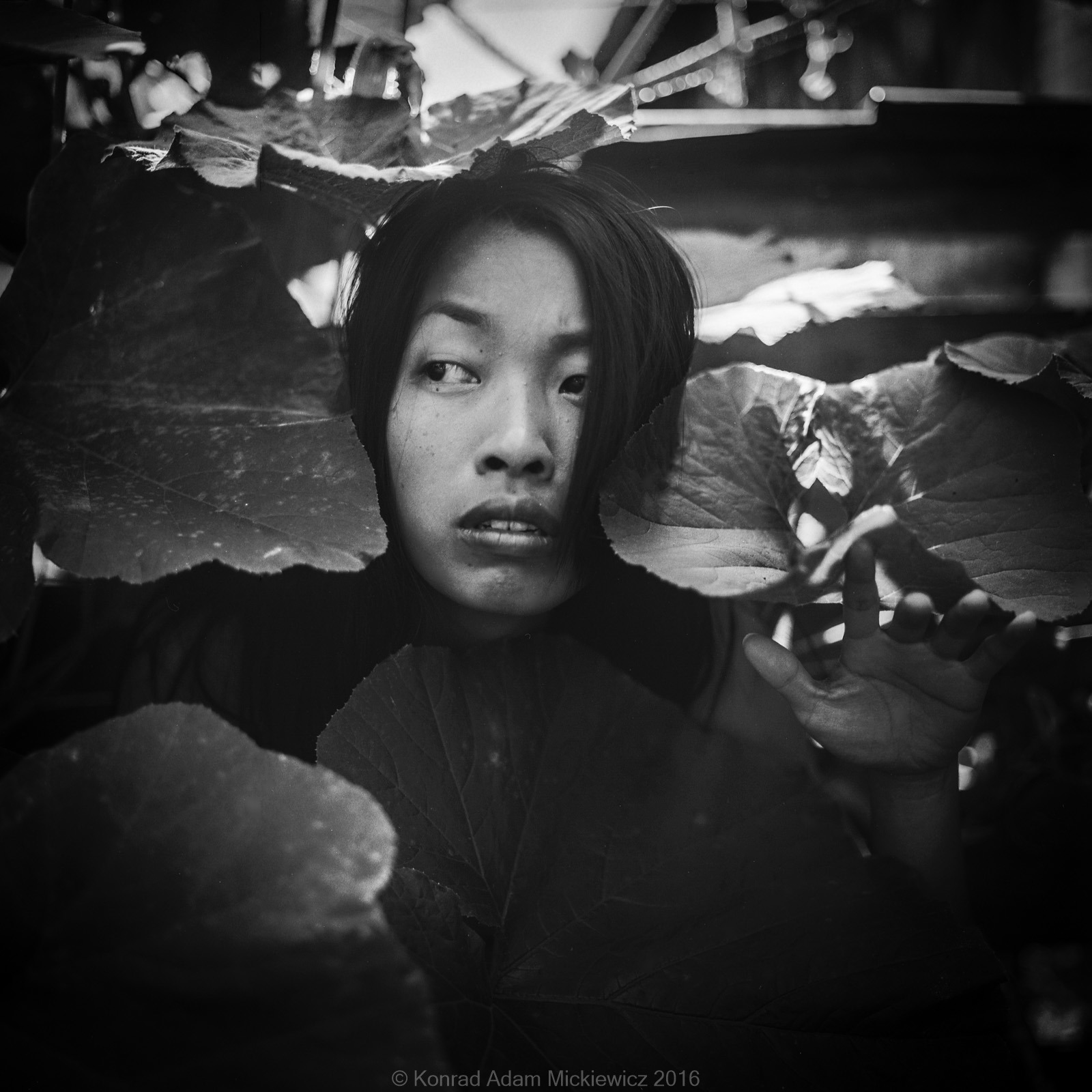 Thuy Duong