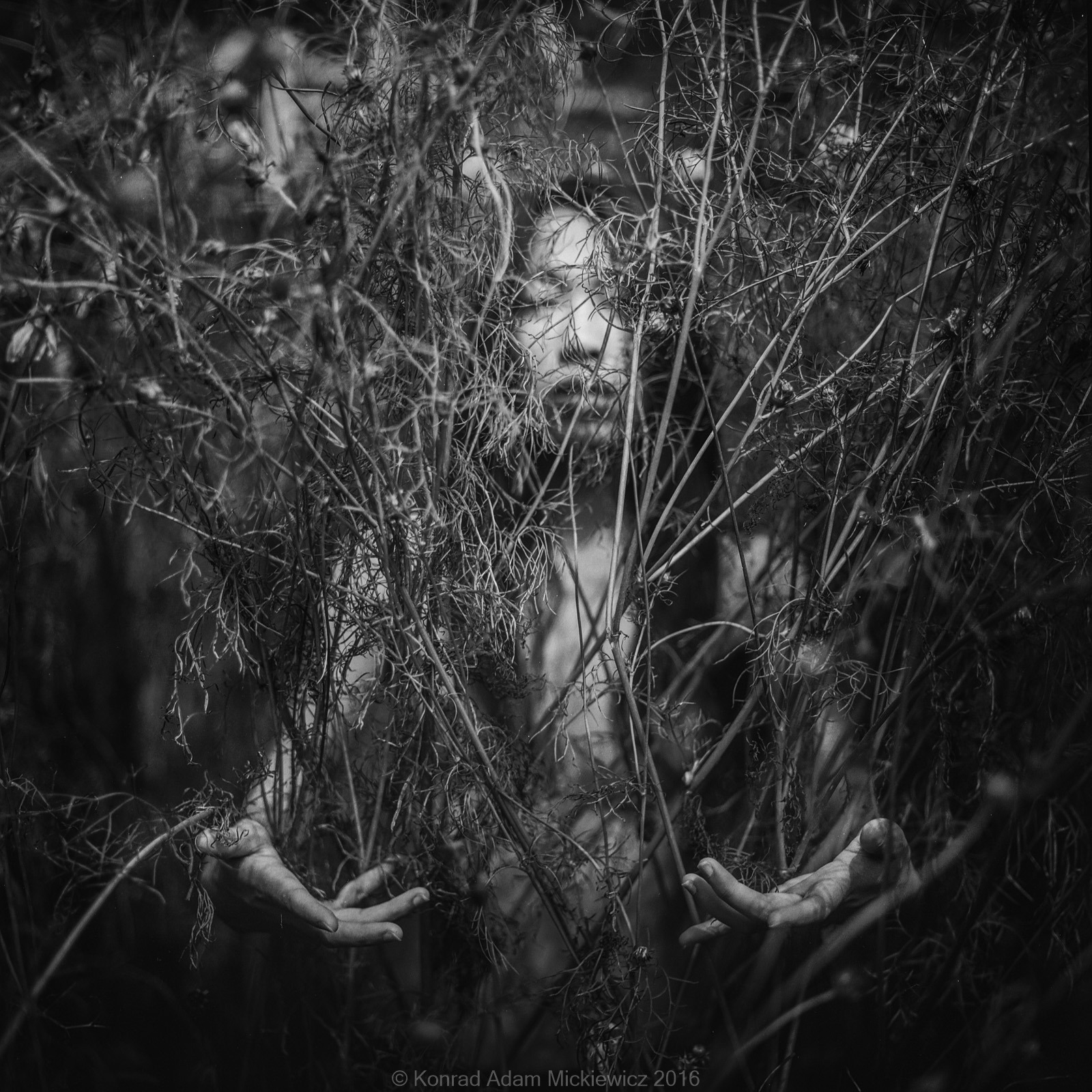 Thuy Duong Zuo
