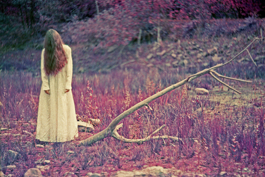 Samara's dream