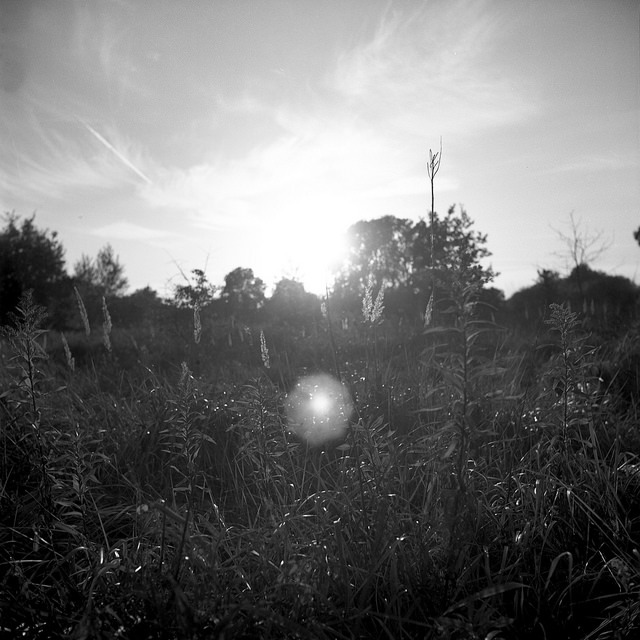 Start 66 pod światło