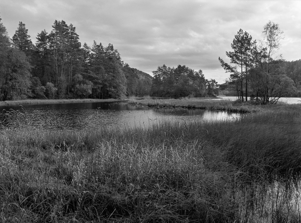 Hordland