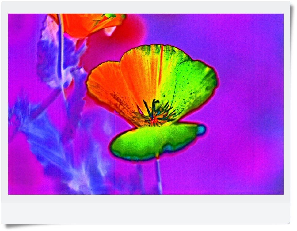 ORWOCOLOR NC21