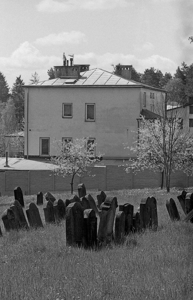 Sąsiedzi