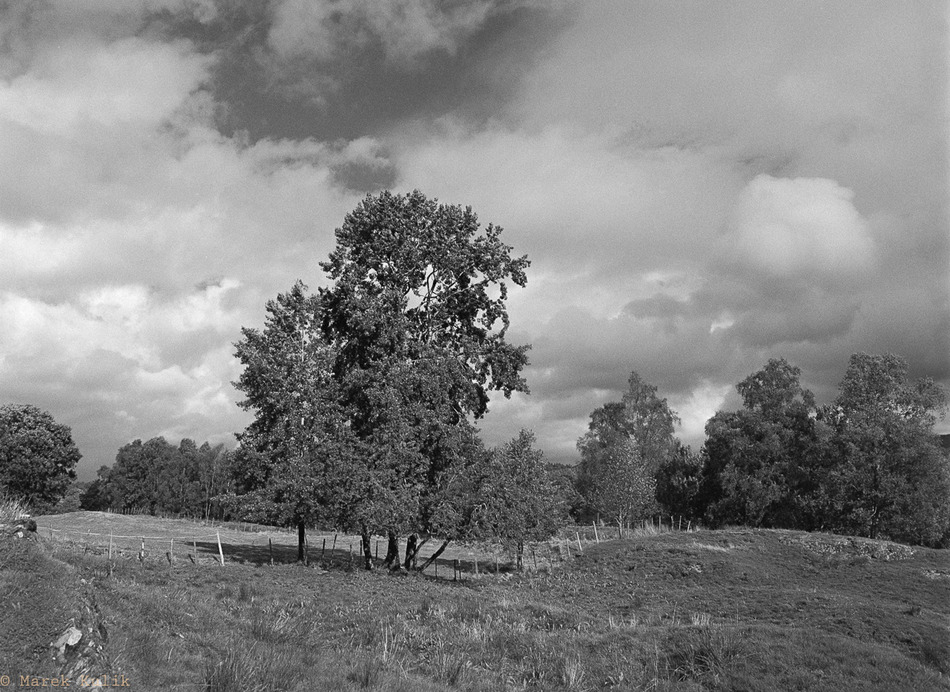 Hordaland