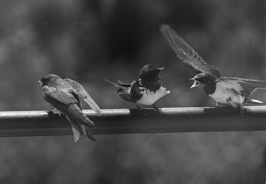 Nie drzyj się na mnie!