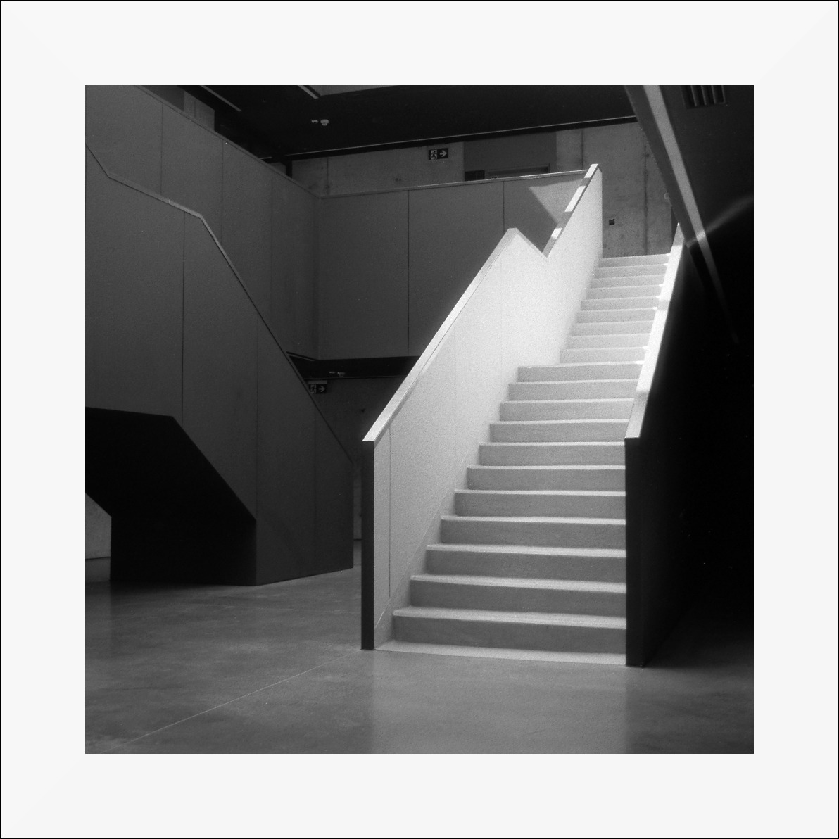 2016_06 II plener w ECEG