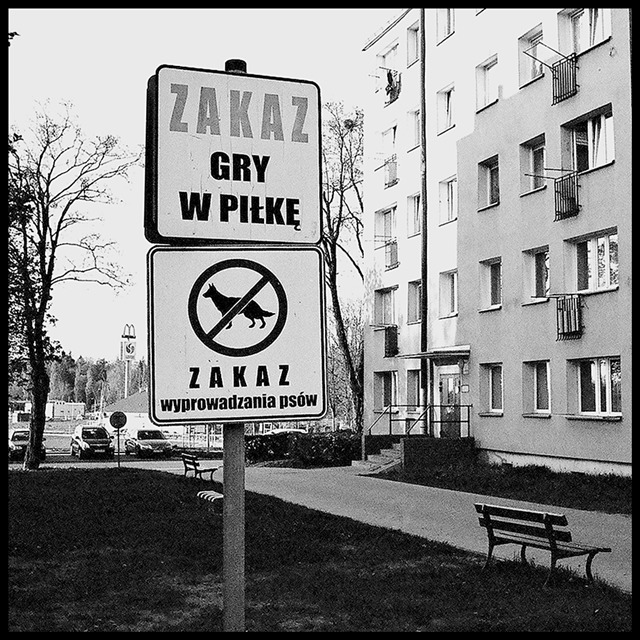 Zakazów ciąg dalszy