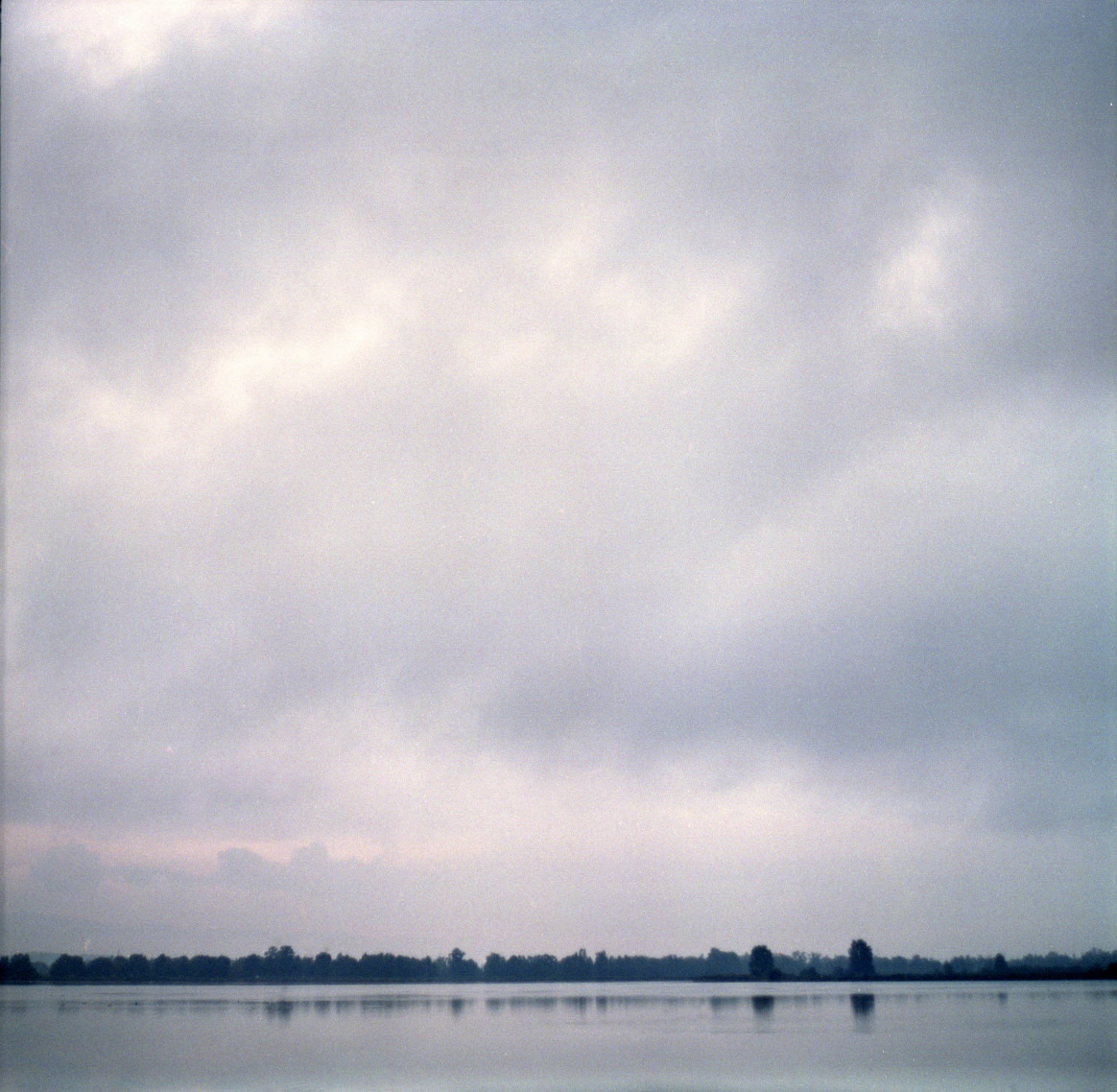 Staw Maciek