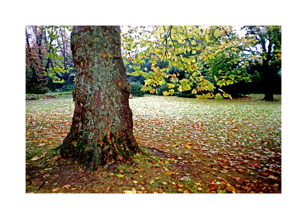 Tematyczny piątek może być w sobotę?