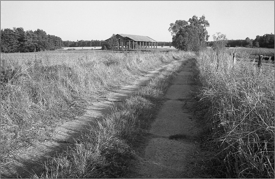 tęsknię oj tęsknię