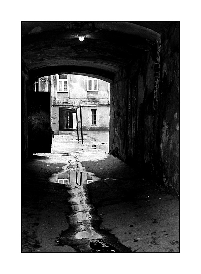 trzepak odbity w rynsztoku