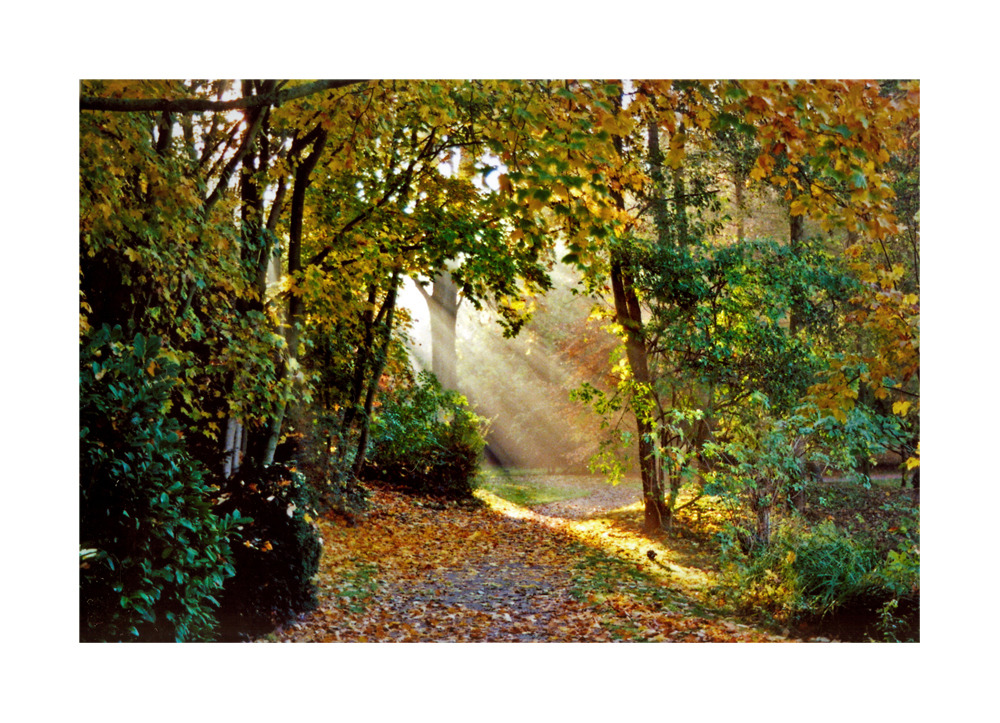 Tematyczny piątek w piątek