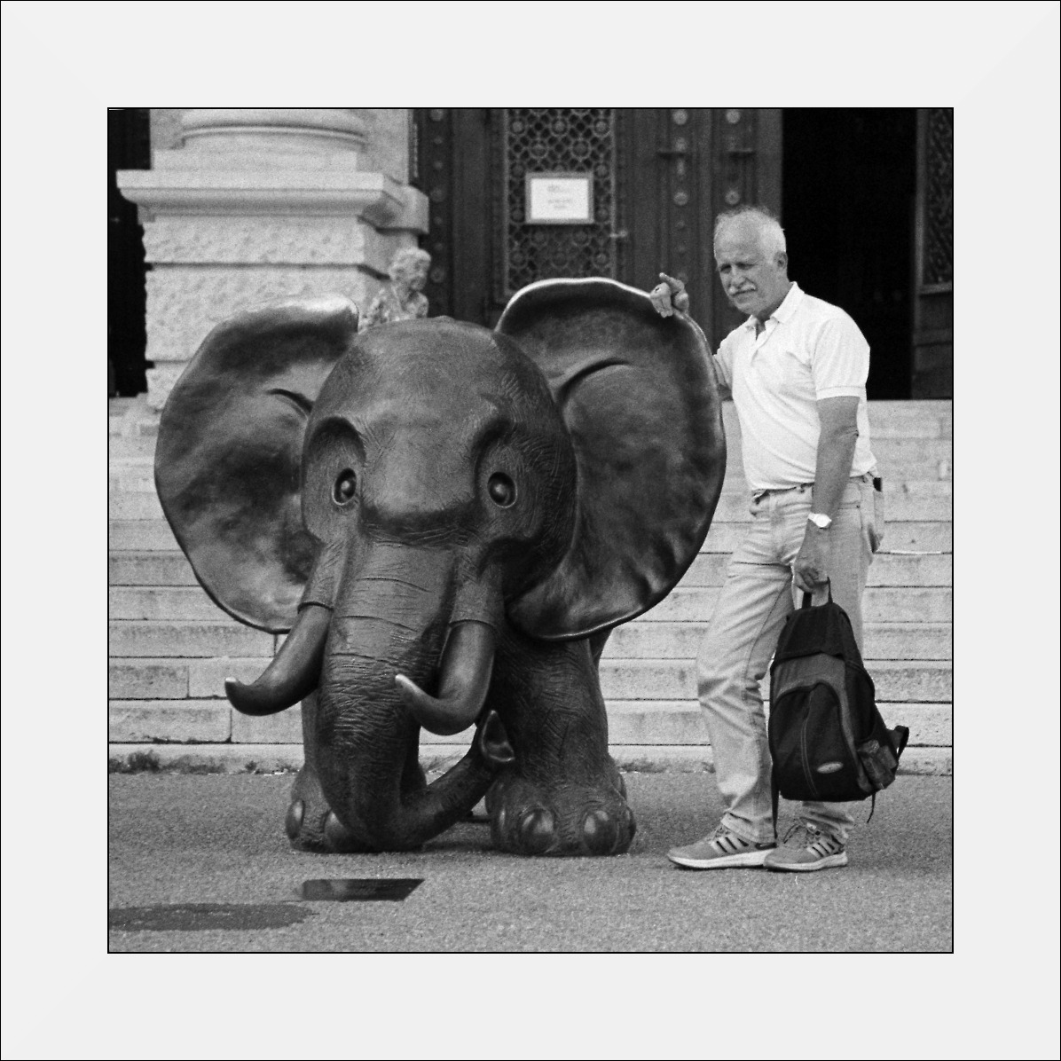 selfi ze słoniem i poganiaczką