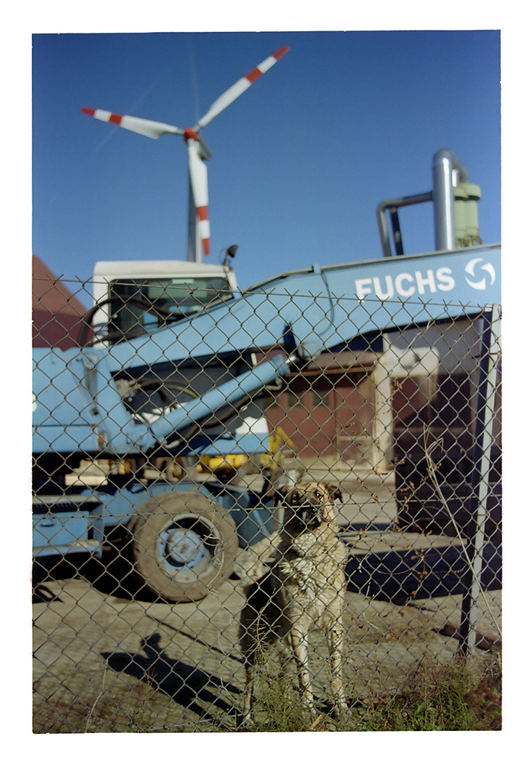 Fuchs ( Fuks)?