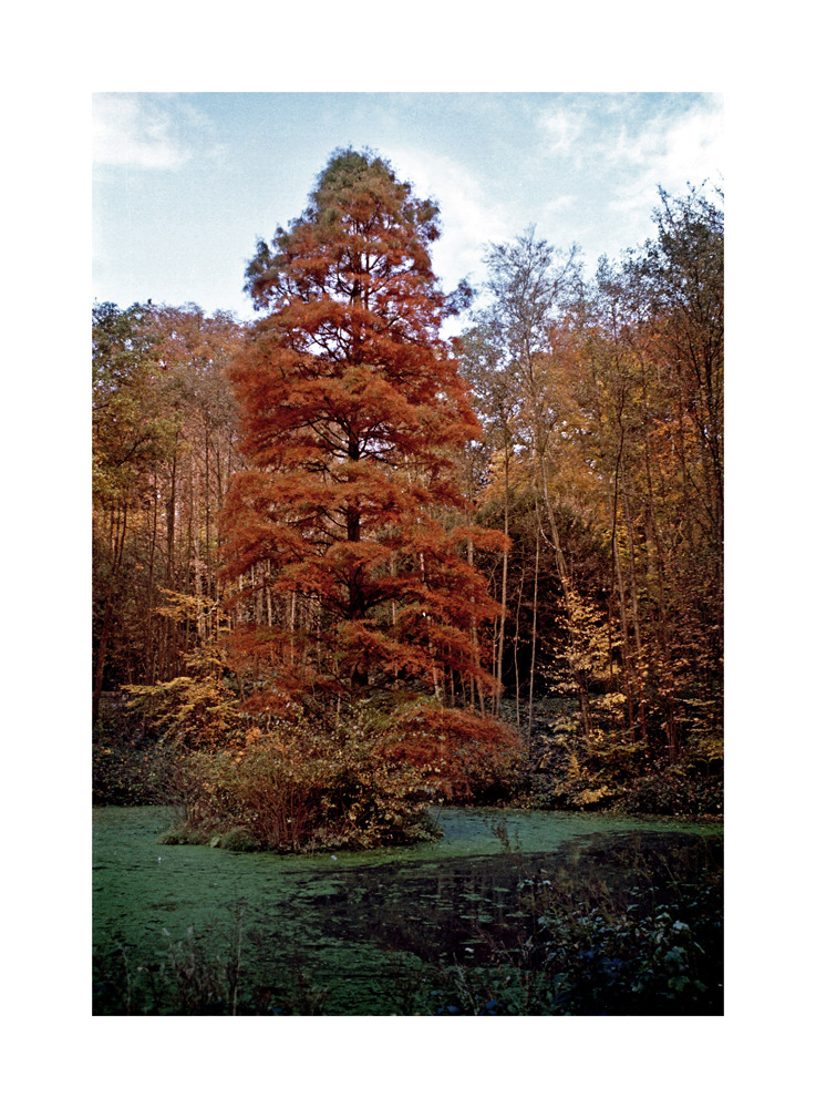 Tematyczny piątek - Ruda Jesień