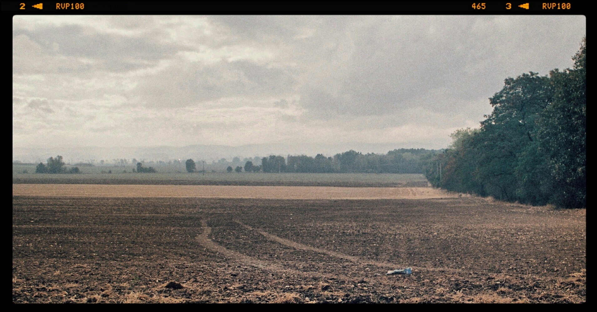 Pole za drewutnią