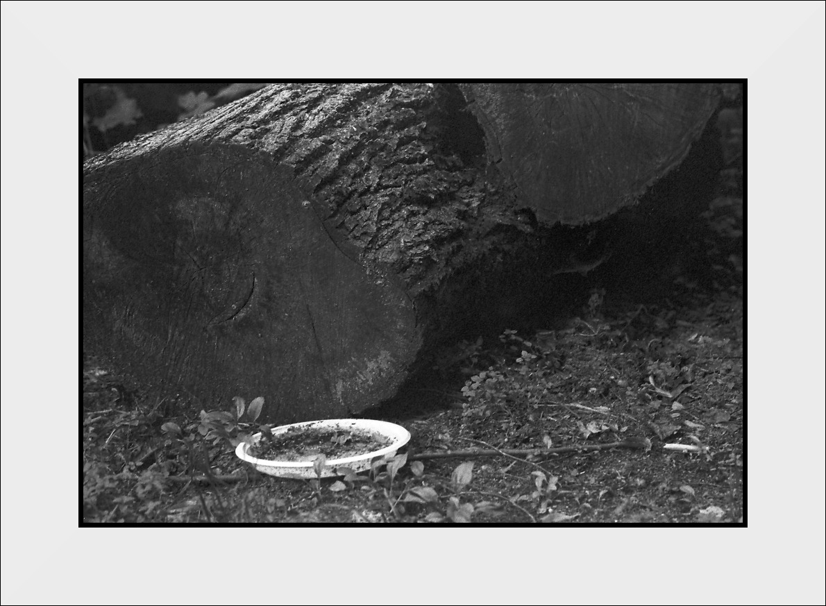 coś dla spragnionych