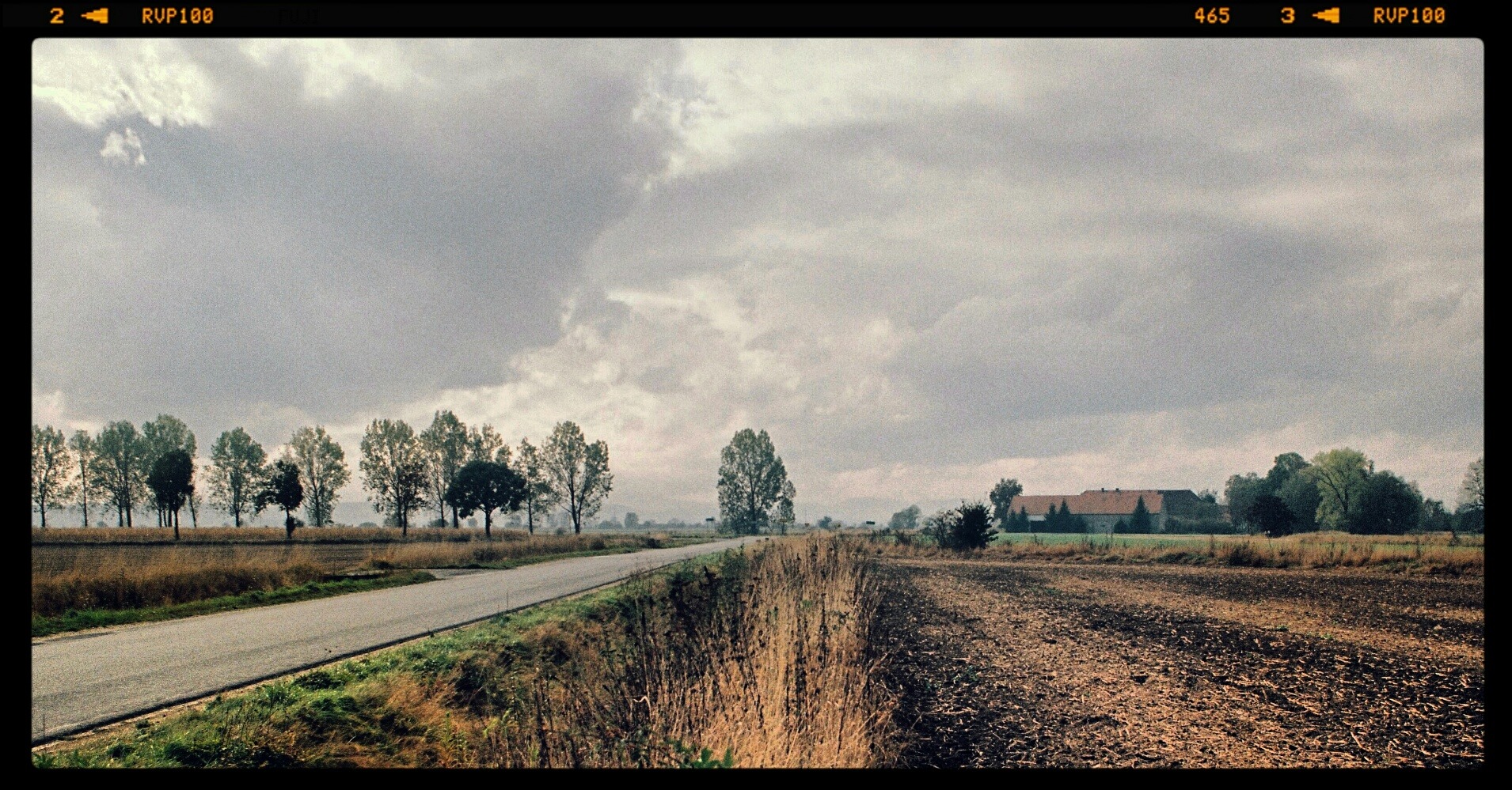 Popołudnie