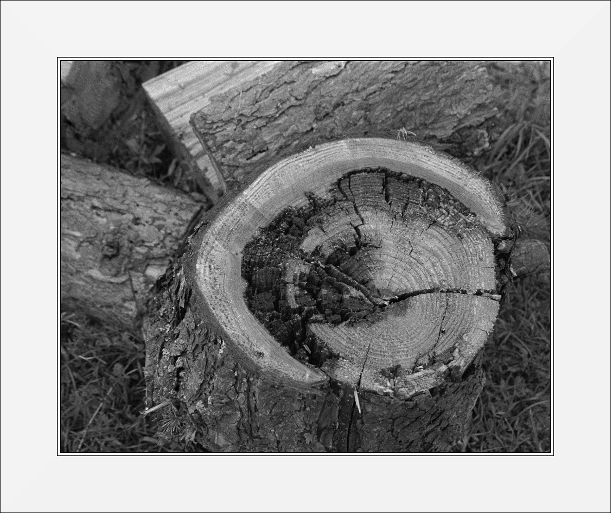 dla zdecydowanych...