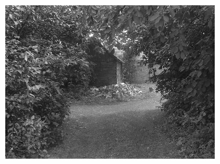 co wy wiecie o drewutniach