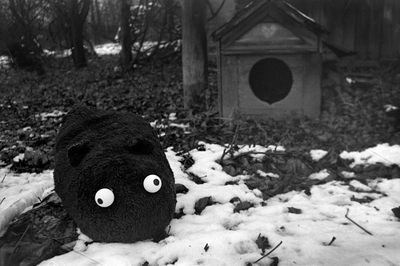 Bobo-Król podwórka.