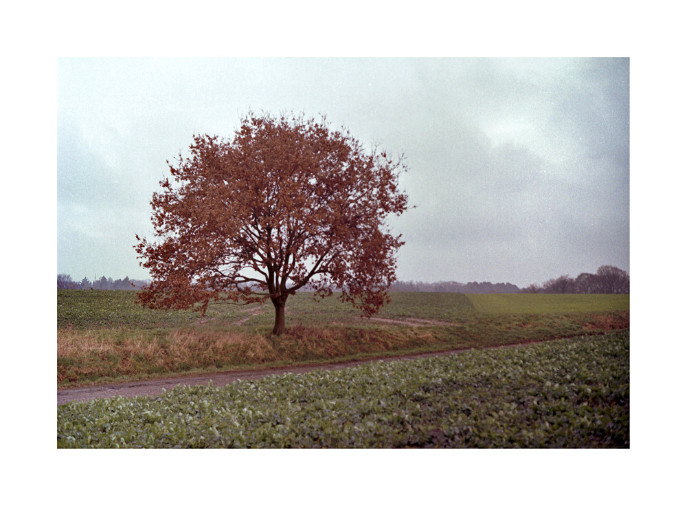 Tematyczny piątek? Atrybuty jesieni...