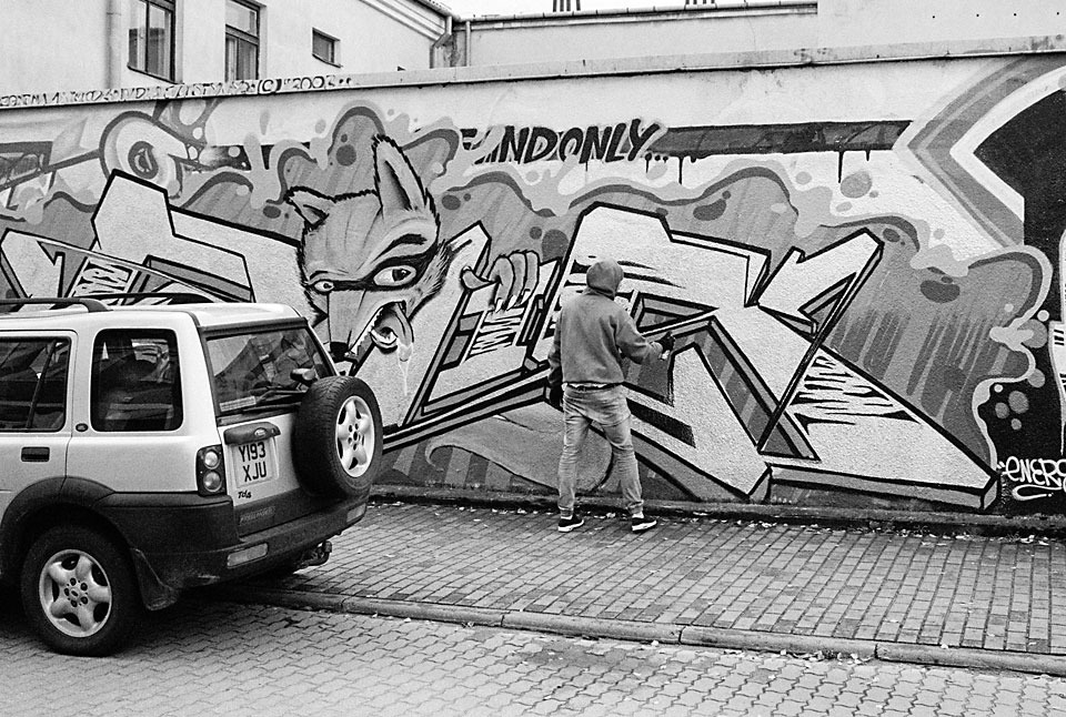 The Fox