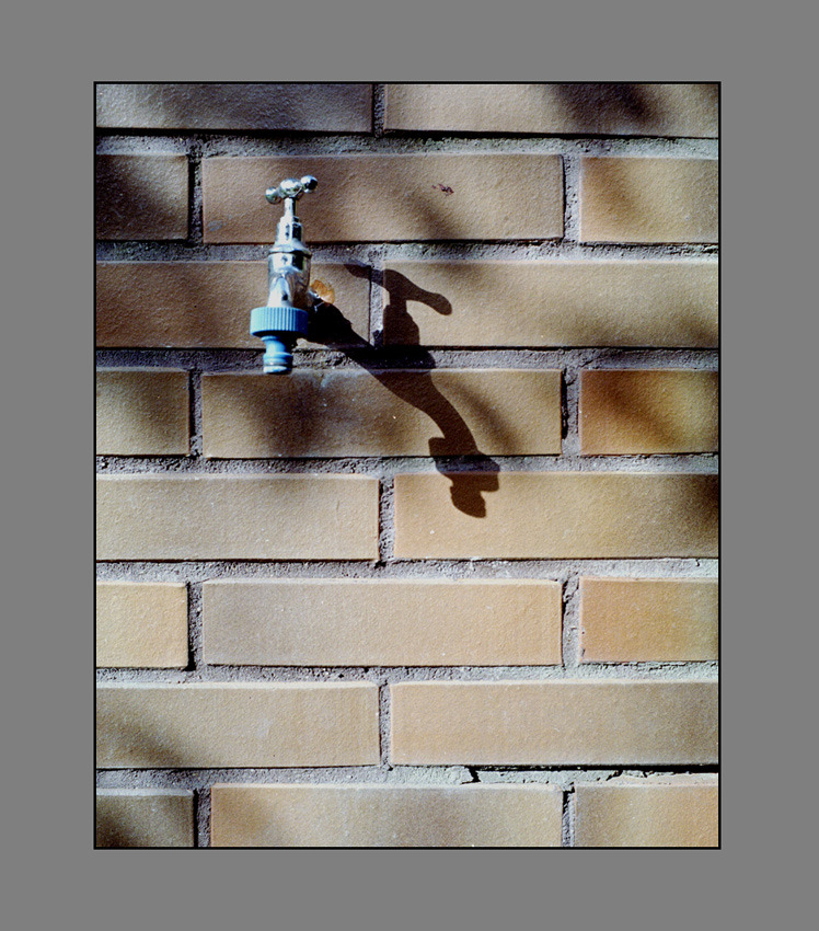 Woda źródłem życia