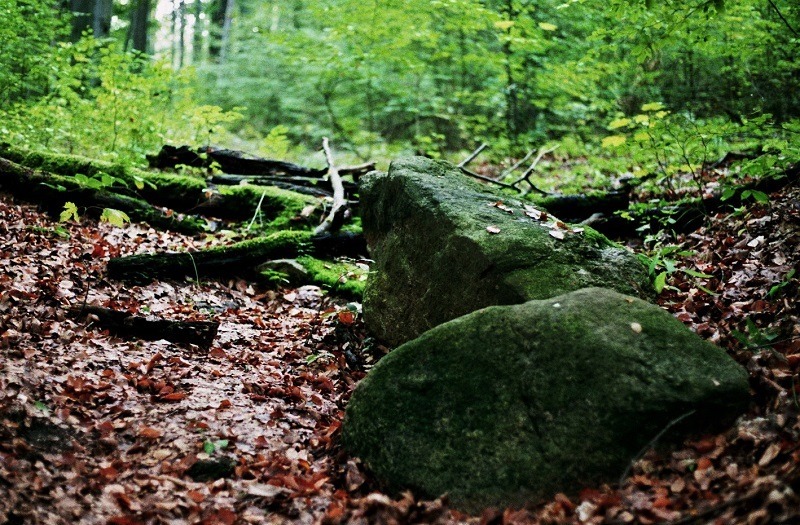 bałagan