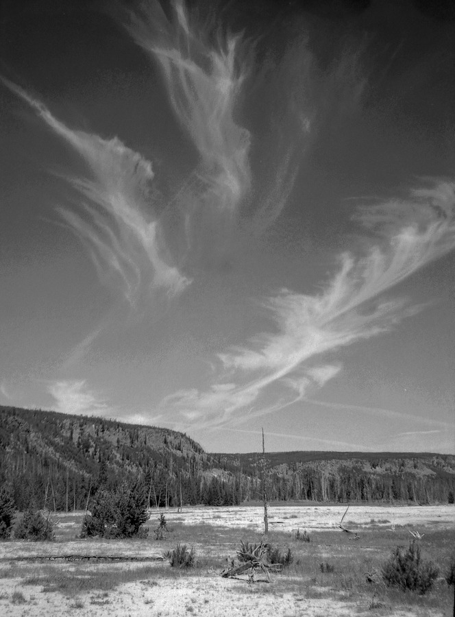 Yellowstone National Park, Wyoming, USA