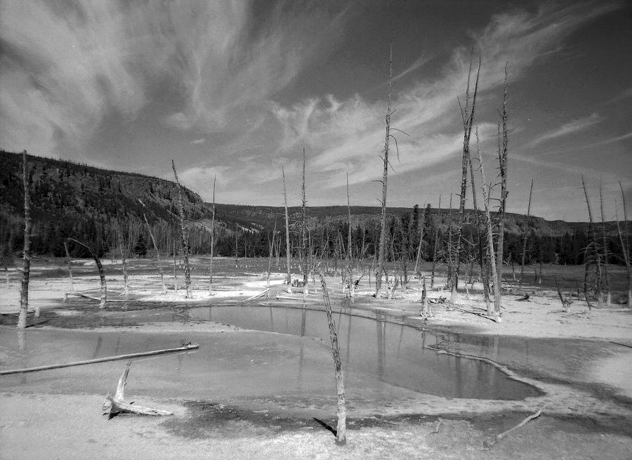 Yellowstone National Park, Wyoming, USA