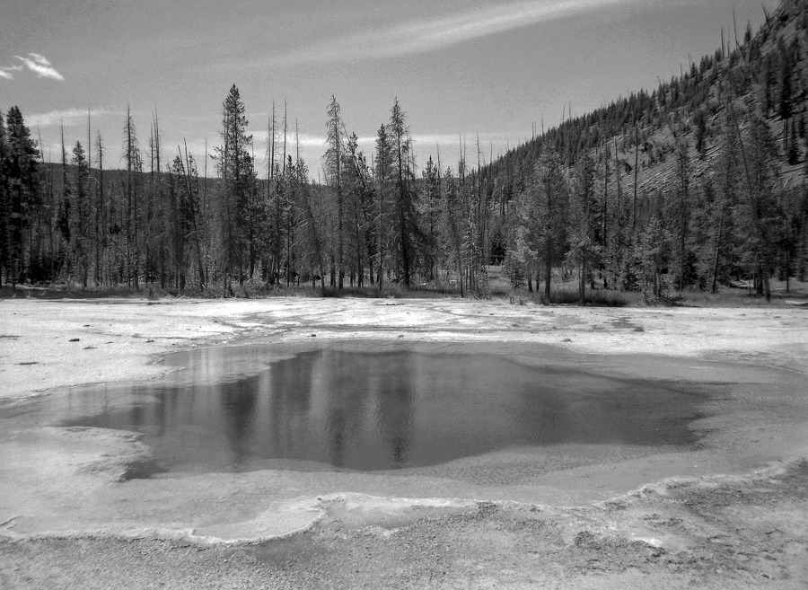 Yellowstone National Park, Wyoming, USA_