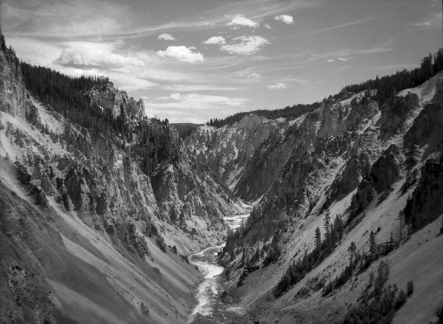Yellowstone National Park, Wyoming, USA_